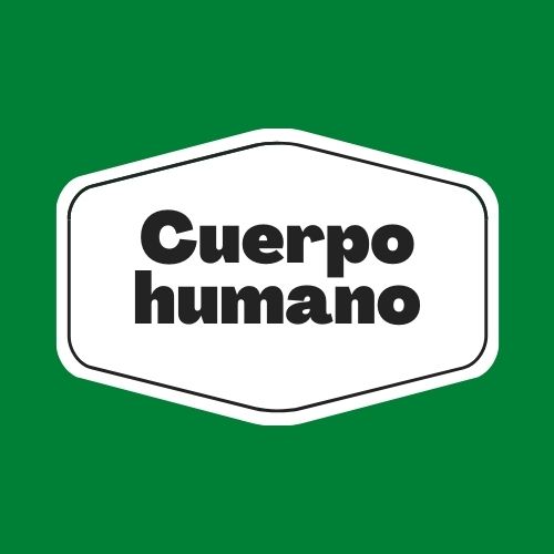 Adivinanzas cuerpo humano