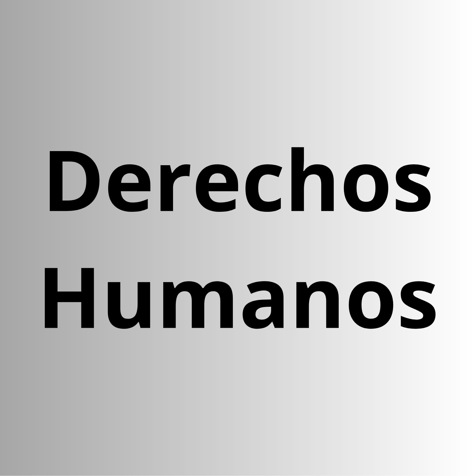 derechos humanos preambulo