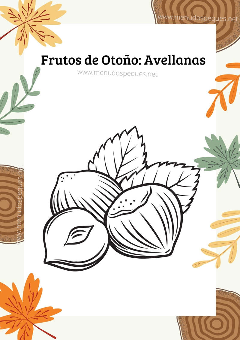 colorear avellanas, colorear frutos secos otoño, dibujos