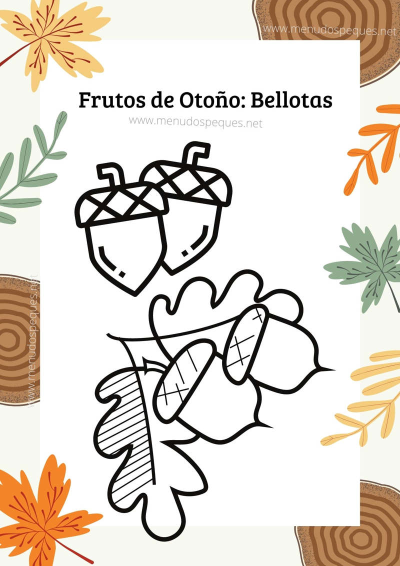 Dibujos bellotas, colorear castaña, otoño, frutos secos