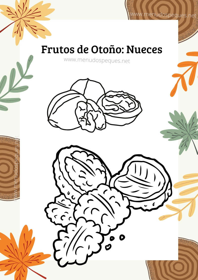 Dibujos nueces, colorear castaña, otoño, frutos secos