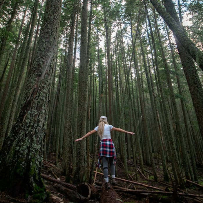 Chica por sendero en el bosque ¿Qué excursiones se pueden hacer con los niños en primavera?