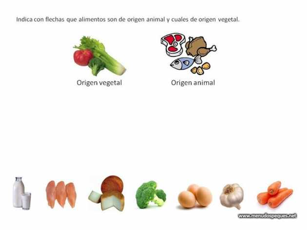 Alimentos de origen animal vegetal