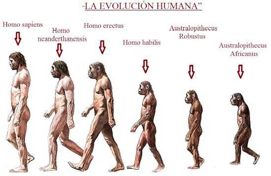 Paleolítico - Prehistoria y Antigüedad