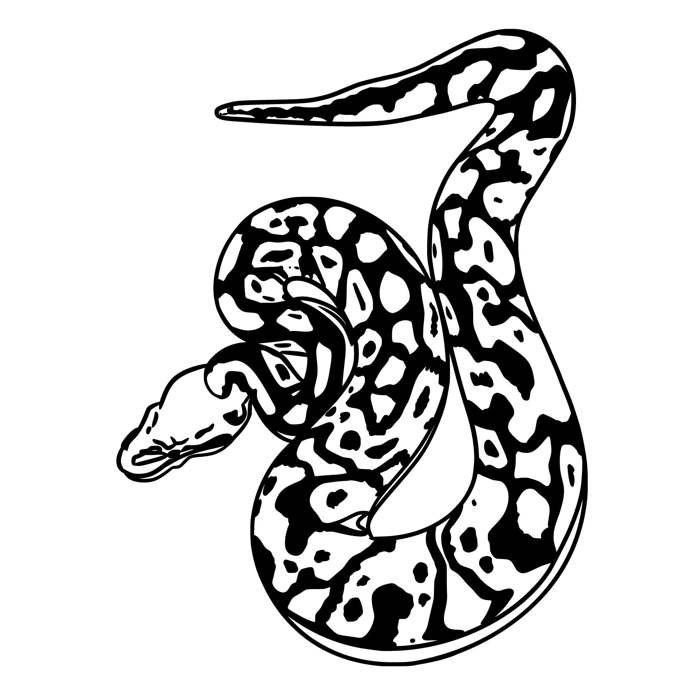dibujo serpiente
