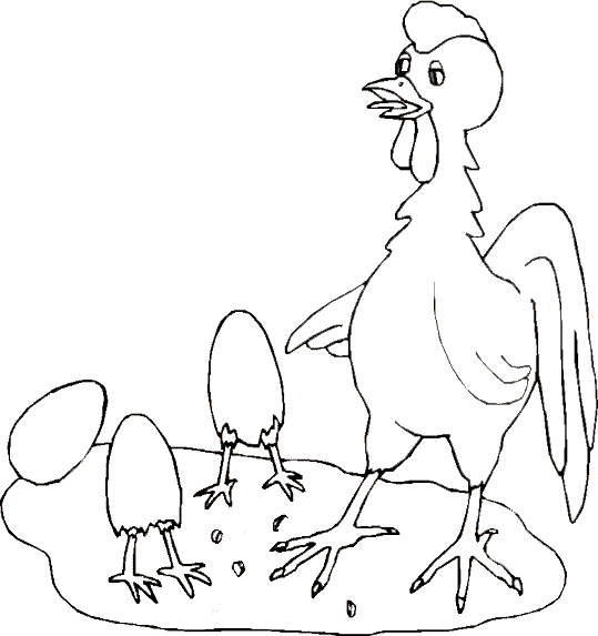 Colorear dibujo Gallina