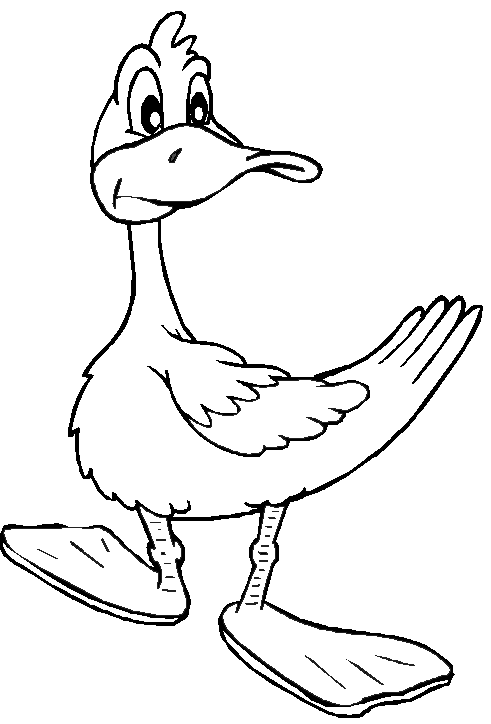 Colorear dibujo Pato