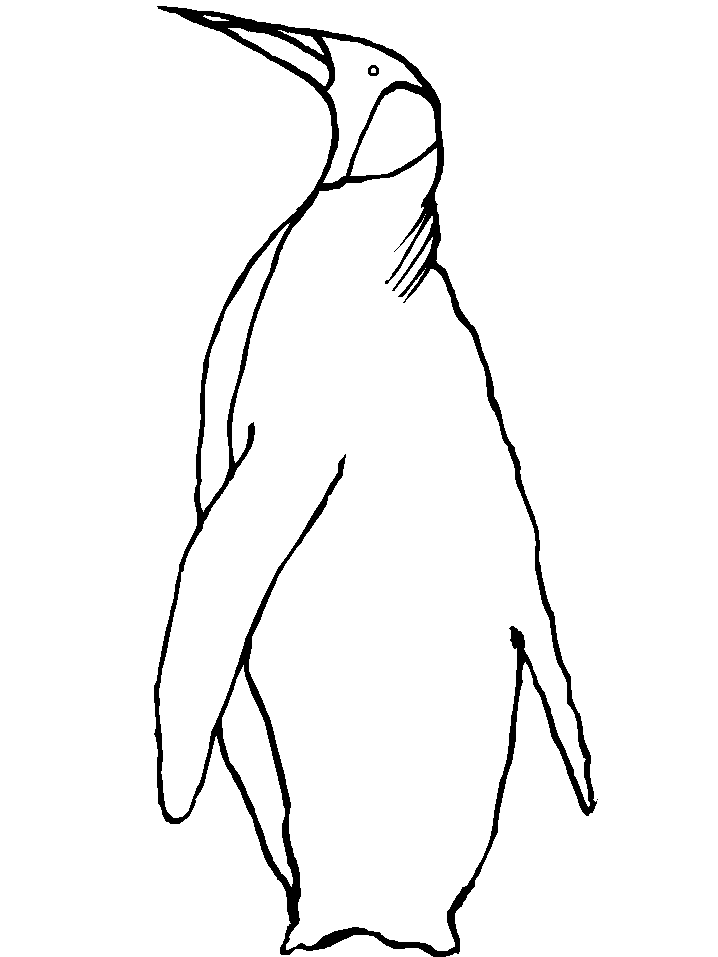 Colorear dibujo Pingüino