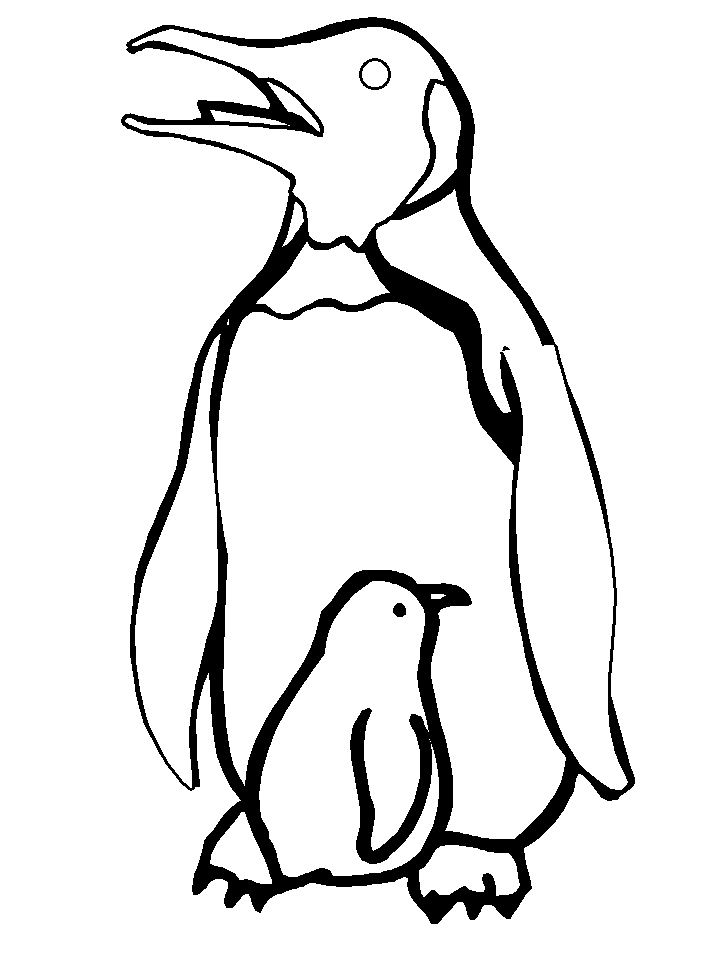 Colorear dibujo Pingüino con su cría