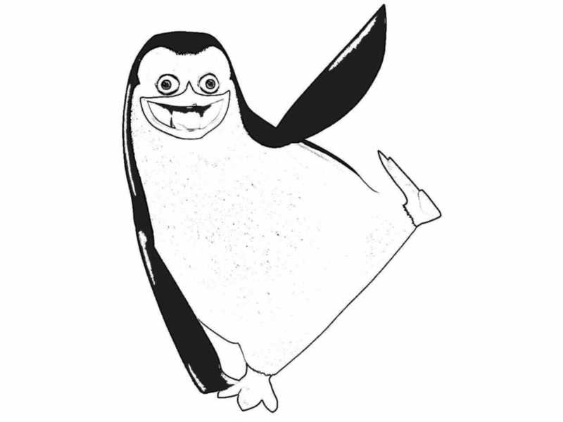 Dibujo pingüino de Madagascar para colorear