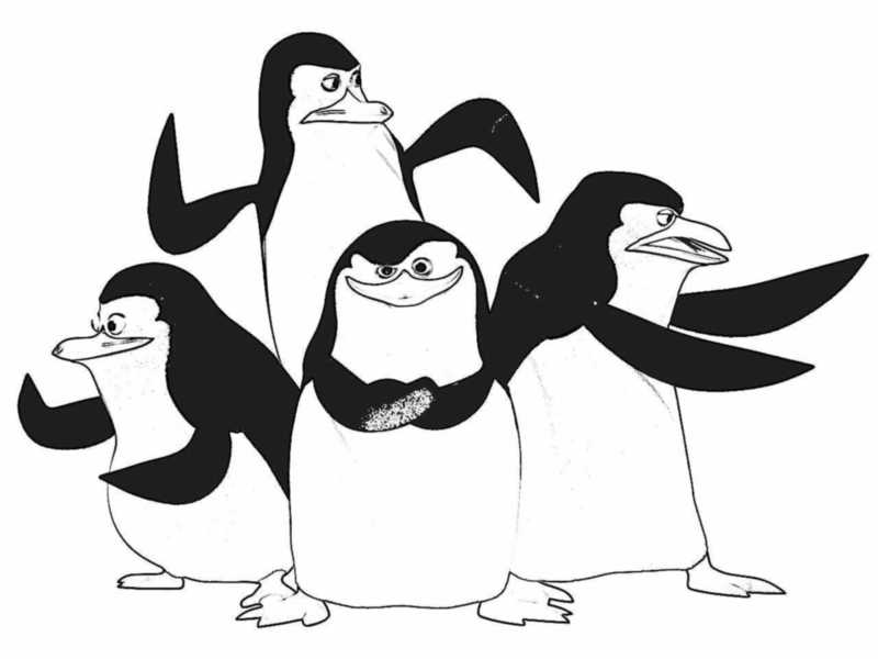 pinguinos de madagascar para colorear