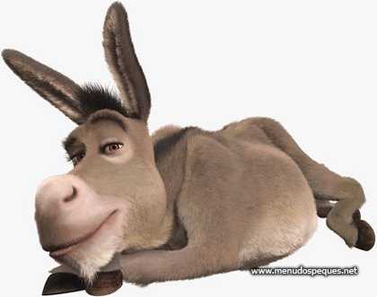 burro