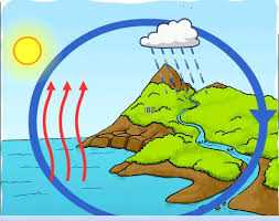 Ciclo del agua poesías