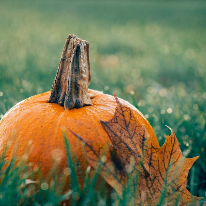 octubre, otoño, poesías