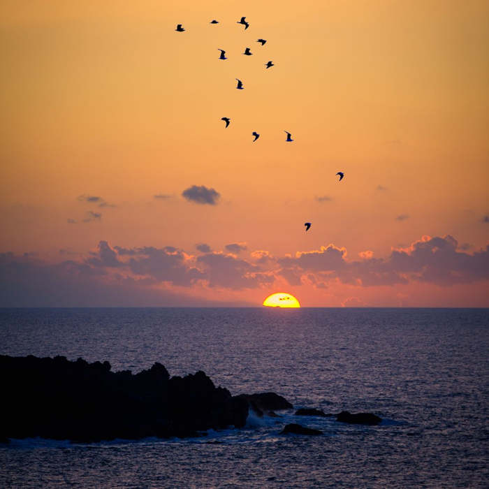 puesta de sol en la playa, Poesías sobre las Islas Canarias, poemas canarios, Feliz día de Canarias