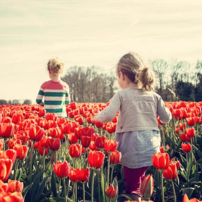 Tiempos de Maravilla: Los Niños y la Primavera, poesías, poemas