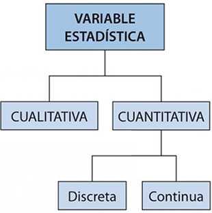 Variable estadística