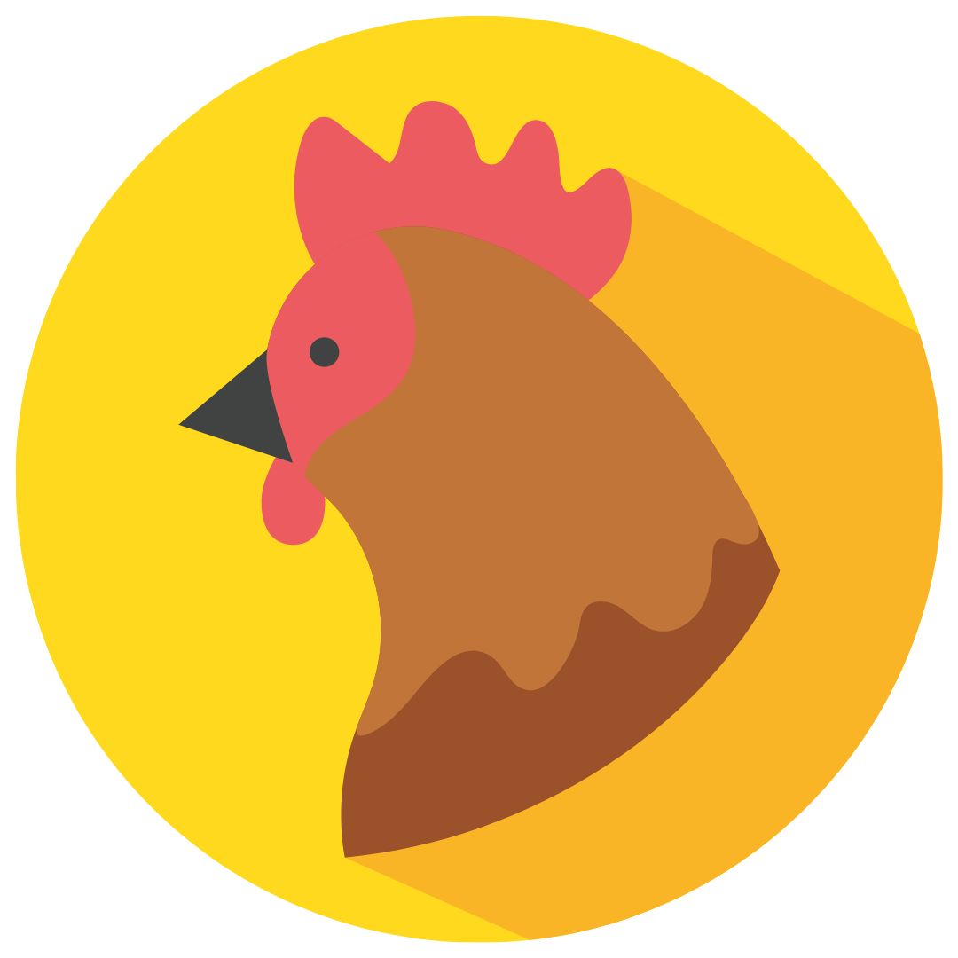 piel de gallina, carne de gallina, datos interesantes, niños,