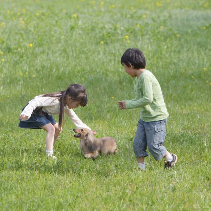 Estrategias para enseñar a los niños a cuidar de las mascotas