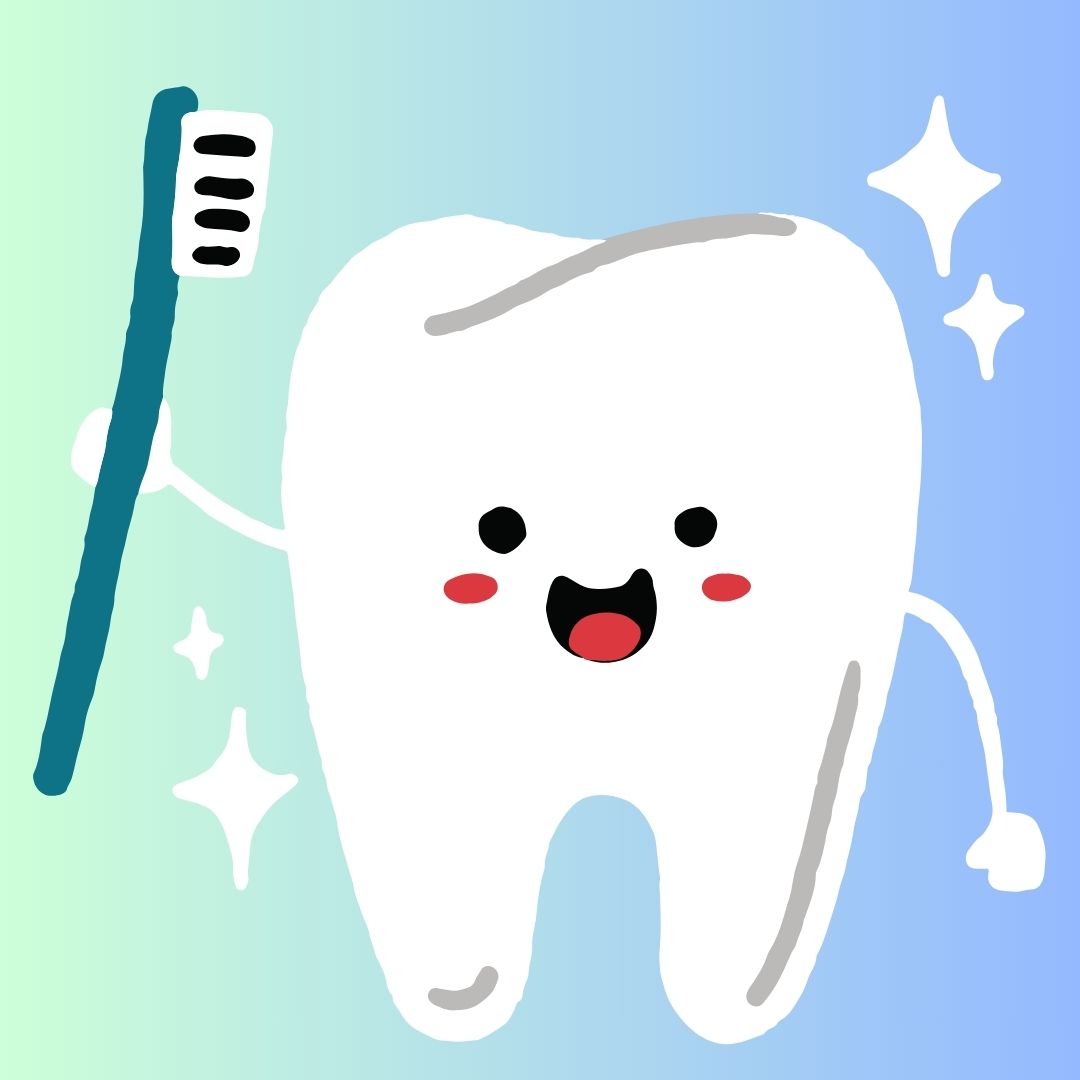 por que se caen los dientes, datos interesantes, niños,