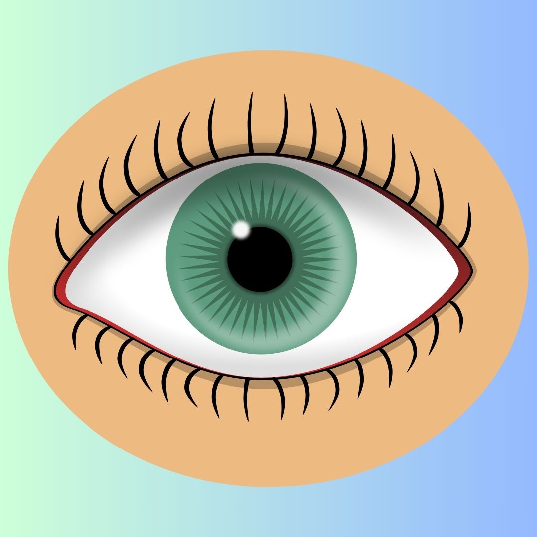 ojos, ojo humano, datos interesantes, niños,