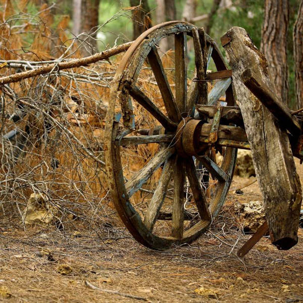 Los orígenes de la rueda