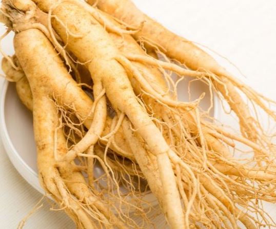 beneficios ginseng