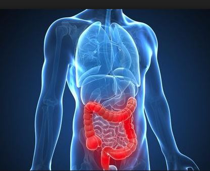 ¿Qué síntomas tiene la enfermedad del Crohn?