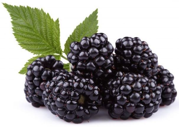 moras