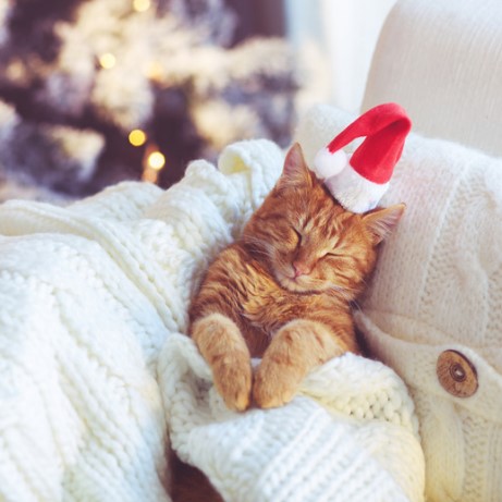 Cosas divertidas para hacer el día de Navidad