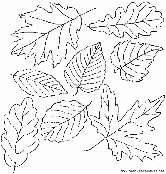 colorear hojas secas, colorear otoño