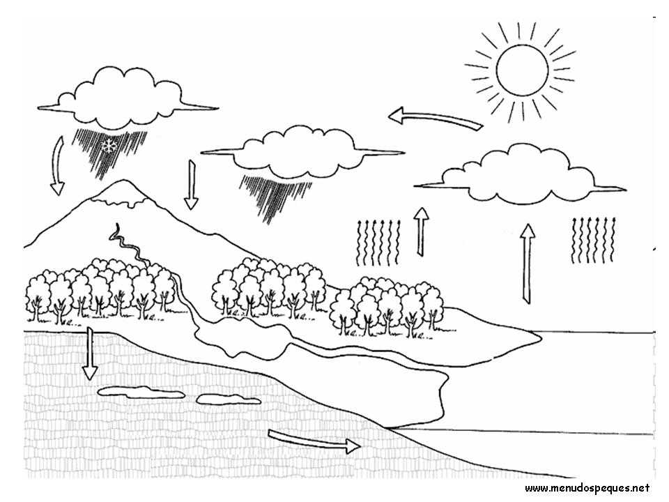 colorear ciclo del agua