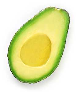 aguacate