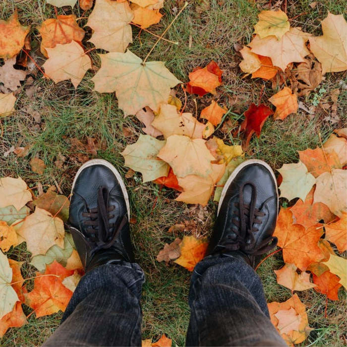 cuentos noviembre, cuentos otoño, cuentos para niños