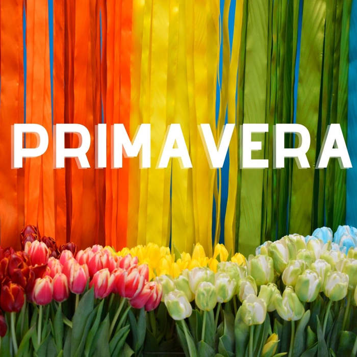 Recursos educativos primavera