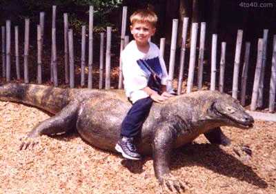 Dragón de Komodo, Los Varano de Komodo son de Indonesia