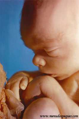 aborto, feto, carta de un bebé