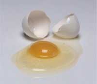 huevos, salmonela, salmonelosis, salmonella y los huevos, egg