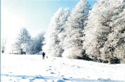 paisaje nevado