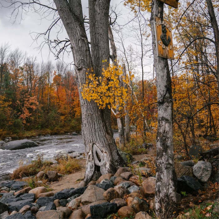 cuentos octubre, cuentos otoño, cuentos para niños