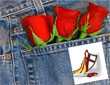 Sant Jordi