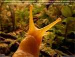 excelentes fotos de national geographic IV
