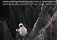 excelentes fotos de national geographic III