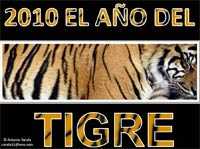 El año del tigre