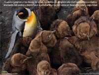 Excelentes fotos de National Geographic V