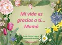 Mi vida es gracias a ti, mamá
