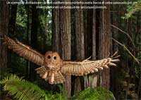 Excelentes fotos de National Geographic VII 