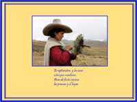 Campesina