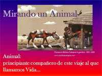 Día del animal 2010