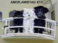 Amor, amistad